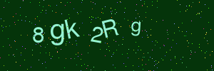 Validation image