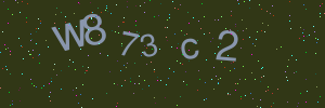 Validation image
